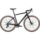 Active Wanted 511 Apex