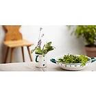 Riess Low Pot 1,5l
