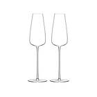 LSA International Wine Culture Champagne Flute 2-pack