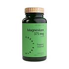 Great Earth Super Magnesium 375mg 100 Tabletter