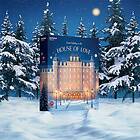 Satisfyer Deluxe Advent Calendar 2025