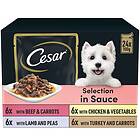 Cesar Deliciously Fresh Dog Pouches Favourites in Sauce 48x0.1Kg