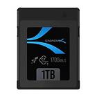 Sabret CF-XTBT-1TB 1TB