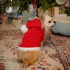 Little&Bigger Xmas Stickad Tomtedräkt till Hund (25 cm)