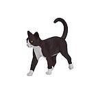 Mojo Farmland Cat