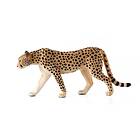 Mojo Wildlife Cheetah Male 387197