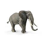 Collecta Afrikan Alfrican Alfaty Figur