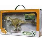 Collecta Dinosaur Velociraptor-Figur I Förpackning