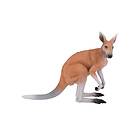 Mojo Kangaroo