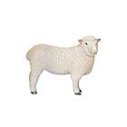Mojo Romney Sheep (Ewe)