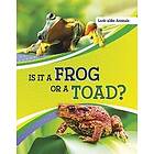 Is It a Frog or a Toad?