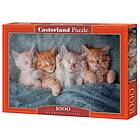 Castorland Pussel The Sweetest Kittens, 1000 bitar