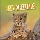 Baby Cheetahs