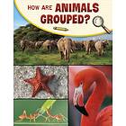 How Are Animals Grouped?