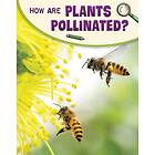 How Are Plants Pollinated?