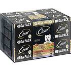 Cesar Megapack Country Ragout 24x0.15kg  