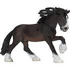 Schleich HORSE CLUB Shirehingst 13734