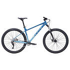 Marin Bobcat Trail 4 2025