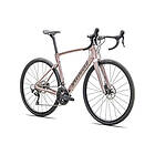 Specialized Roubaix SL8 Sport 2025