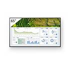Sony Bravia Professional Displays FW-65BZ30L BZ30L Series 65" 4K LCD Smart TV