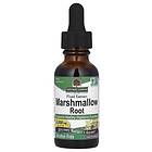 Nature's Answer Marshmallow Root (30ml)