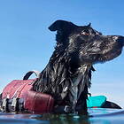 Hurtta Life Savior ECO Hundflytväst Lila (5-10kg)