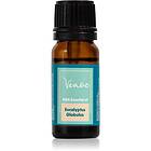 Venoc Essential oil eucalyptus globulus 10ml