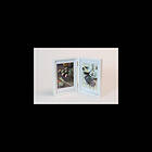 Focus Rock Black Double 10x15