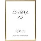 Focus Can-Can Shiny Gold 42x59,4 (A2)