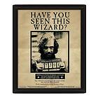 Pyramid Harry Potter (Potter Sirius)