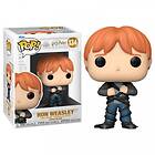 Funko POP Harry Potter: HP Anniversary Ron in Devil's Snare (57368)
