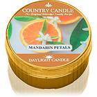 Country Candle Mandarin Petals 42g