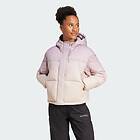 Adidas Xploric WIND.RDY Gradient Goose Down Jacket (Women's)
