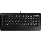 SteelSeries Apex 300/RAW (EN)