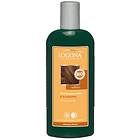 Logona Color Care Shampoo 250ml