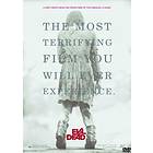 Evil Dead (2013) (DVD)