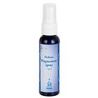 Holistic Magnesiumspray 60ml