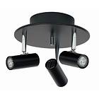 Belid S 6764 Cato 3L