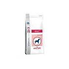 Royal Canin VCN Adult 10kg