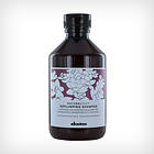 Davines Natural Tech Replumping Shampoo 250ml