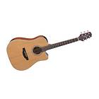 Takamine GD20CE (CE)