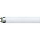 Osram Lumilux T8 865 5000lm 6500K G13 58W