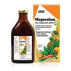 Salus Floradix Magnesium 500ml