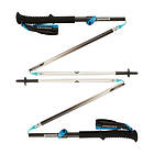 Black Diamond Distance FLZ Telescopic