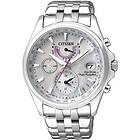 Citizen Eco-Drive FC0010-55D