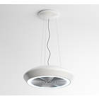 Witt Precious (White)