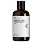 Evolve Organic Beauty Superfood Shine Shampoo 250ml
