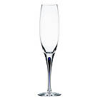 Orrefors Intermezzo Champagneglass 26cl