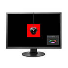Eizo ColorEdge CS2420CAL 24" Full HD IPS