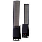 Martin Logan ElectroMotion ESL X